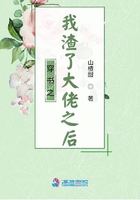 闪婚总裁花式宠妻