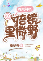 一醉经年txt