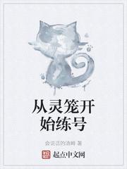 qq停车场