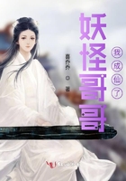 你给我的喜欢小说