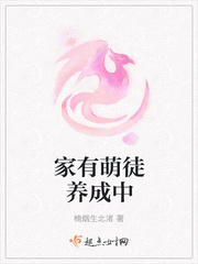 评书包公案