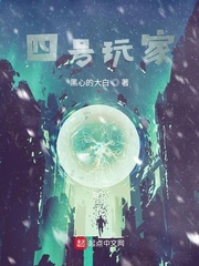 与东宫相同的古言小说