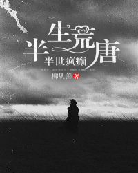 神偷奶爸3免费立刻观看