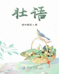 大象传媒入口2024