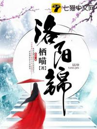 91黑车司机系列
