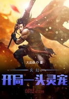 门卫董全集目录列表