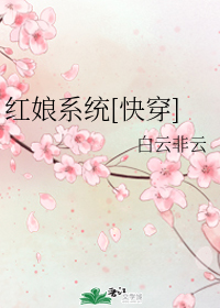 云智装