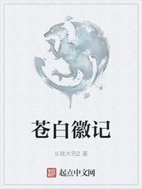 阿德女主播小说全集