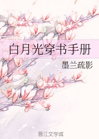 泰山h