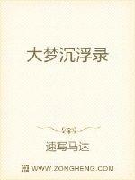 波波播放器官方版下载