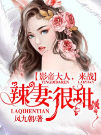 安装成年人专用播放器
