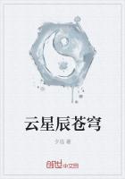 老板的办公桌中字