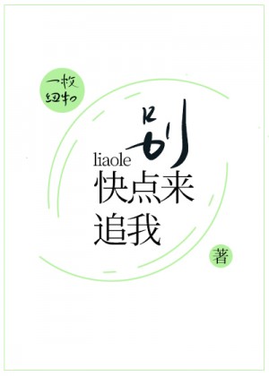 法瑞集成环保灶