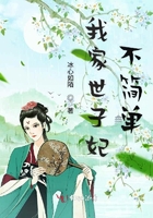 老鸟游吧