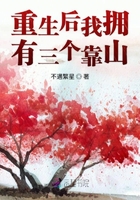 silk系列中字百度云