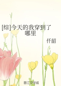 新流星花园免费