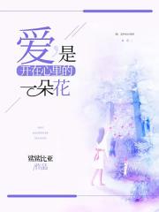 可爱多少钱一斤txt下载