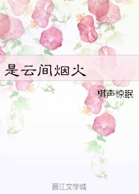 神探阿蒙第七季