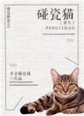 声优初体验在线观看