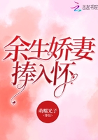 aⅴ解说水果派