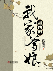 云襄传电视剧手机免费观看
