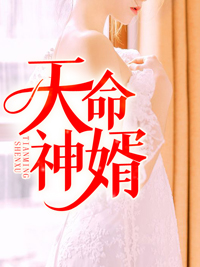 中南海保镖2