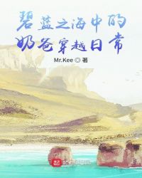 变形金刚2雅酷