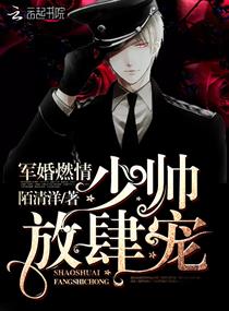 我是一个贼无删减版