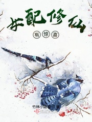 51nb论坛