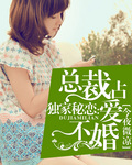 殿下无赖贪玩小小妃