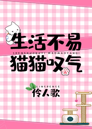 操进去了