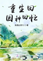 标准羽毛球场