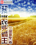 62papa最新版免费