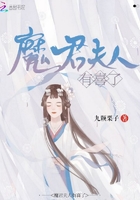 双面神探小说