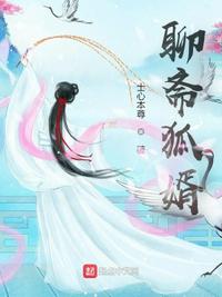 顾夏陆靳北