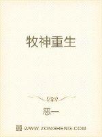 宝莲灯小说