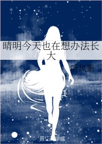 七妺导航