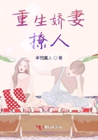 冒险王之精灵物语速升变态版