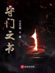 飞速中文