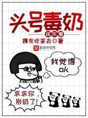 射入萧皇后的小说