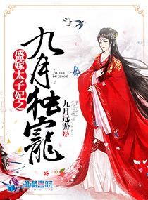 silk完整版百度云盘