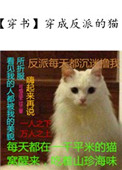 哀川りん