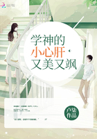 澳门网站免费观看视频