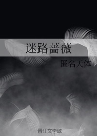 水浒传之英雄本色金莲