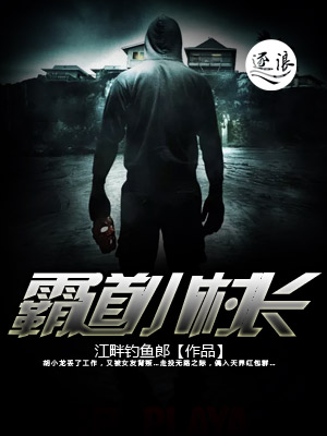 王思宇小说
