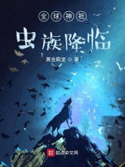 8090看燥b视频