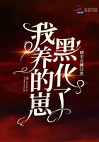 飞机杯是什么