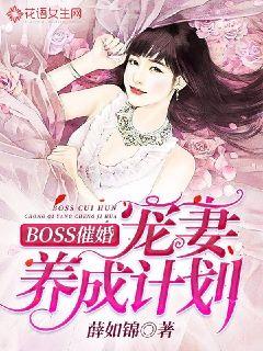 封神猎艳记之三霄仙子