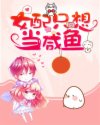 晚晴天之美女如云txt