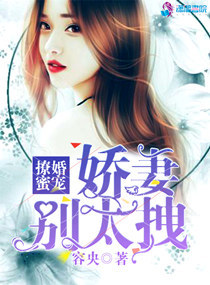 似婚臣言